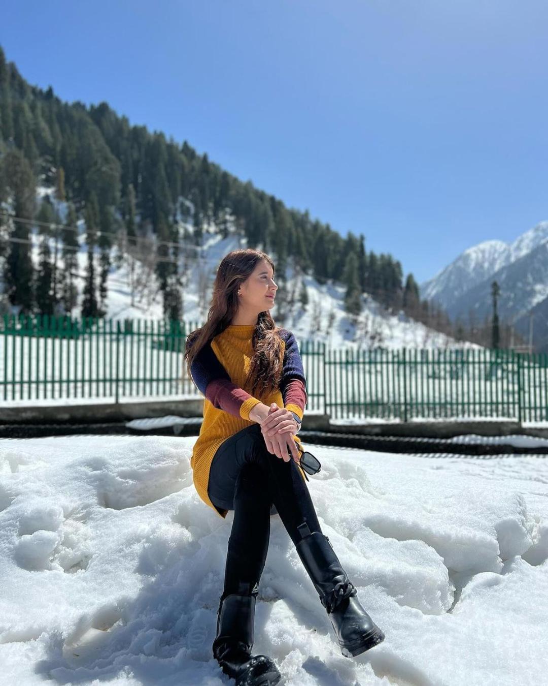 Srinagar Group Of Hotels Bagian luar foto
